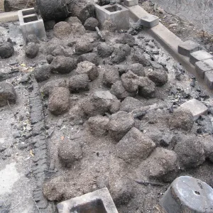 Santa Barbara Botanic Garden after the Jesusita Fire