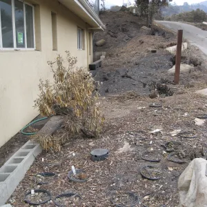 Santa Barbara Botanic Garden after the Jesusita Fire