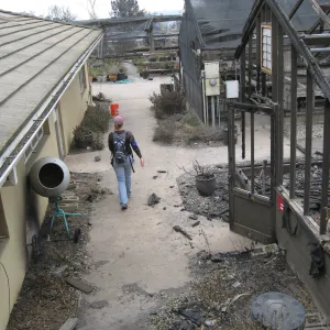 Santa Barbara Botanic Garden after the Jesusita Fire