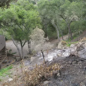 Santa Barbara Botanic Garden after the Jesusita Fire