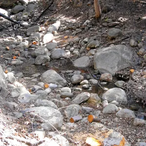 Brush clearing along Mission Creek just below burned Campbell Bridge