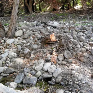 Mission Creek looking east from the dam after the Jesusita Fire