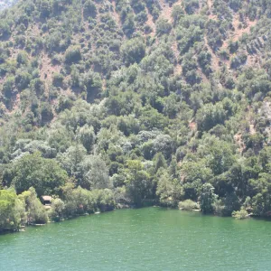 Zaca Lake