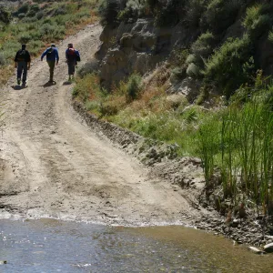 Santa Rosa Island