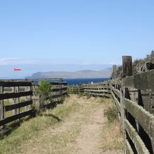 Santa Rosa Island