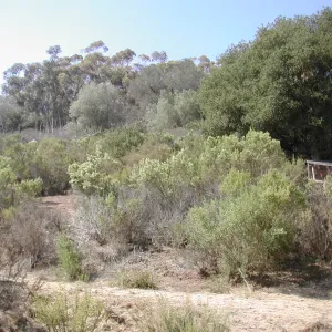Cavalli property
