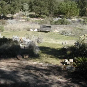 upper Meadow, Meadow lawn, wood bench, Meadow View 