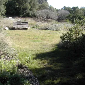 upper Meadow, Meadow lawn, wood bench