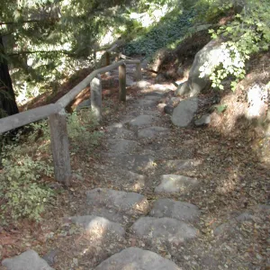 Indian Steps (down to Redwood Section)