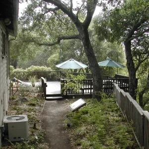 West side of cottage looking south, Home Demonstration Deck