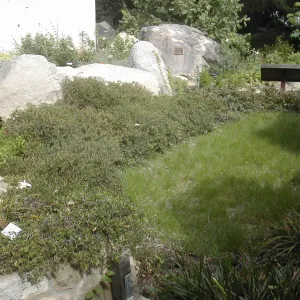 front lawn, Cottage, Home Demonstration Garden