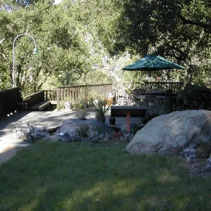 Bouteloua lawn behind Cottage, Home Demonstration Garden and Deck