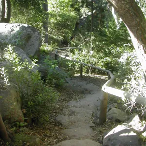 stone steps leading into the canyon from the Manzanita Section