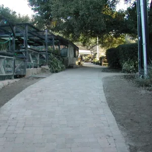 Garden Growers stock yard west of Herbarium building