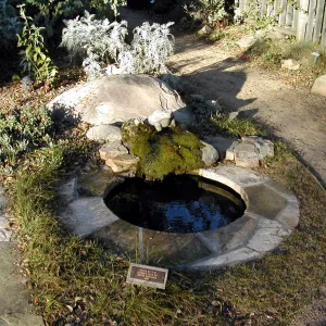 Water feature in the Home Demonstration Garden