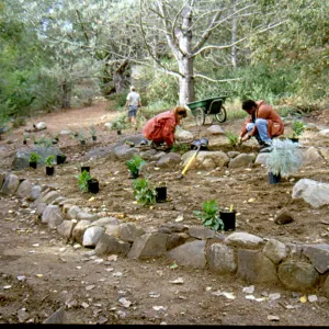 Installation of Island Rare Plant display