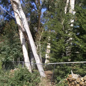 Property line fence at upper entrance on Tunnel Road