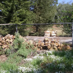 Property line fence at upper entrance on Tunnel Road