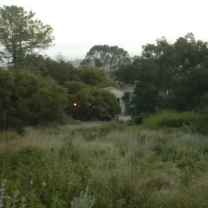 Meadow, viewing south to Blaksley Library
