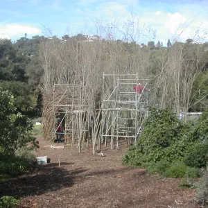 Construction of Toad Hall by Patrick Dougherty