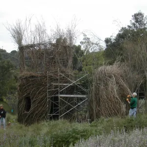 Construction of Toad Hall by Patrick Dougherty