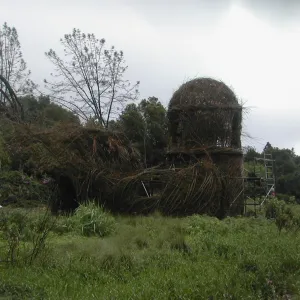 Construction of Toad Hall by Patrick Dougherty