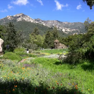 Patrick Dougherty Toad Hall Grand Opening