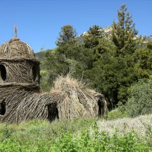 Patrick Dougherty Toad Hall Grand Opening