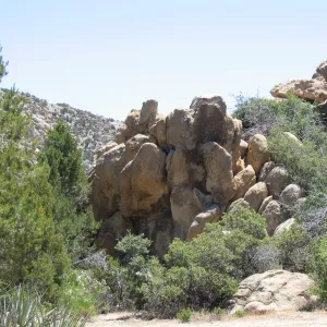 Caruthers Canyon, New York Mtns, Mojave Desert Preserve 
