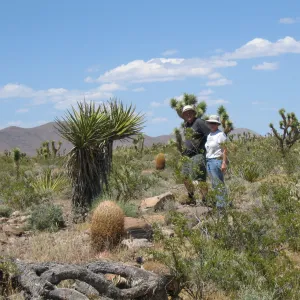 Andrew Wyatt, Betsy Collins, Kearny Pass Rd along north side of Clark Mtns 