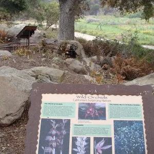Wild Orchids sign, Santa Barbara Botanic Garden, after the Jesusita Fire