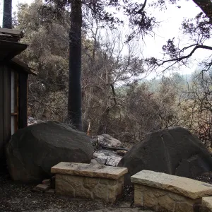 stone benches and patio behind the Information Kiosk, Santa Barbara Botanic Garden, after the Jesusita Fire