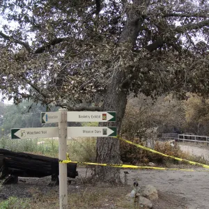 burned wood bench at top of Meadow, Santa Barbara Botanic Garden, after the Jesusita Fire