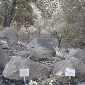 Sandstone boulder interpretation labels, area burned in the Jesusita Fire