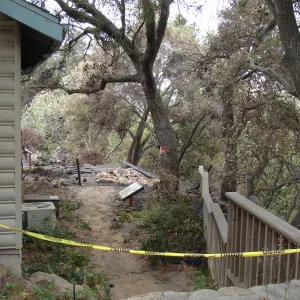 The Home Demonstration Garden Deck and railing along the canyon rim, Santa Barbara Botanic Garden, after the Jesusita Fire
