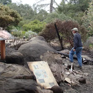 surveying the damage at the Home Demonstration Deck, Santa Barbara Botanic Garden, after the Jesusita Fire