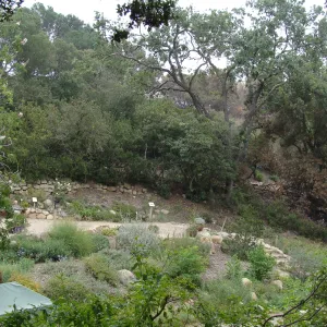lower Discovery Garden, adjacent to Mission Canyon Road, after the Jesusita Fire