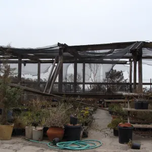 shade structure and potted plants at the Hort Unit, after the Jesusita Fire