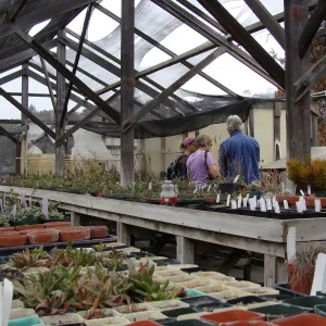 SBBG staff examining the damage inside the Horticulture lath house at the Hort Unit, after the Jesusita Fire