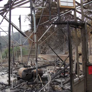 Conservation lath house, destroyed by the Jesusita Fire