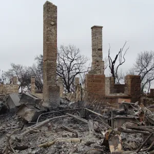 Gane House site, after the Jesusita Fire