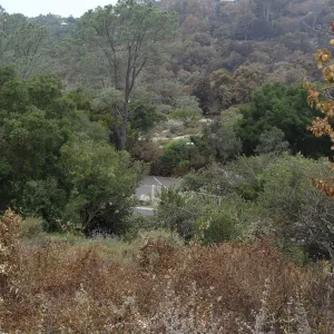 viewing across the Garden and Mission Canyon from the Porter Trail
