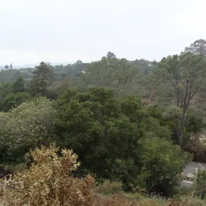 viewing across the Garden and Mission Canyon from the Porter Trail