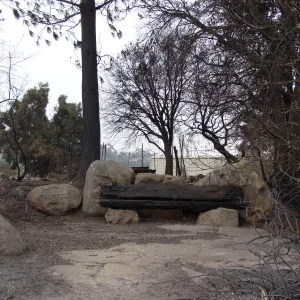burned Mr. and Mrs. William Stratton Porter Bench (bench #64) on the Porter Trail, after the Jesusita Fire