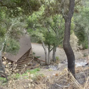 spot fire, burned slope above and behind the Guild House, after the Jesusita Fire