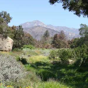 Meadow View to La Cumbre Peak, after the Jesusita Fire