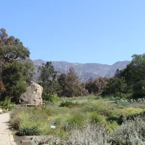 Meadow view to the mountains, after the Jesusita Fire