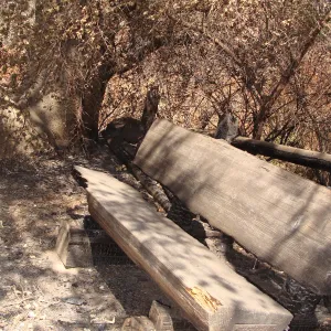 burned wood bench in Meadow Oaks, after the Jesusita Fire