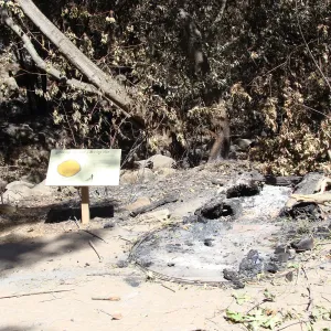 burned remains of the Redwood Cross-section exhibit, after the Jesusita Fire