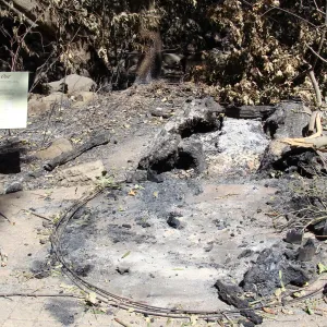 burned remains of the Redwood Cross-section exhibit, after the Jesusita Fire